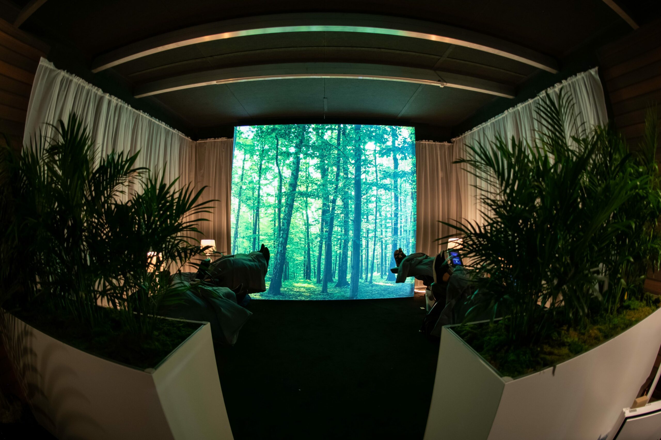 1737-pwp-cedia19-5000x3333