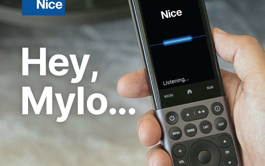Nice Voice Assistant