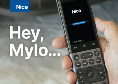 Nice Voice Assistant