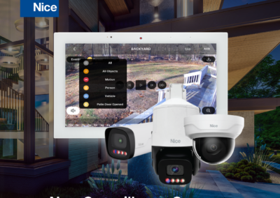 Nice Surveillance Cameras