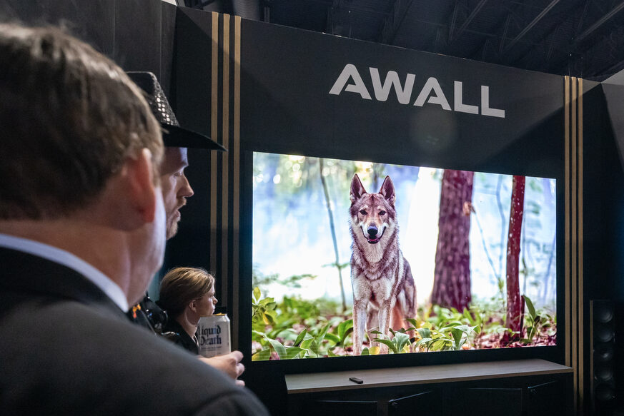 CEDIA Expo/CIX attendees viewing a home cinema product demo from AWALL
